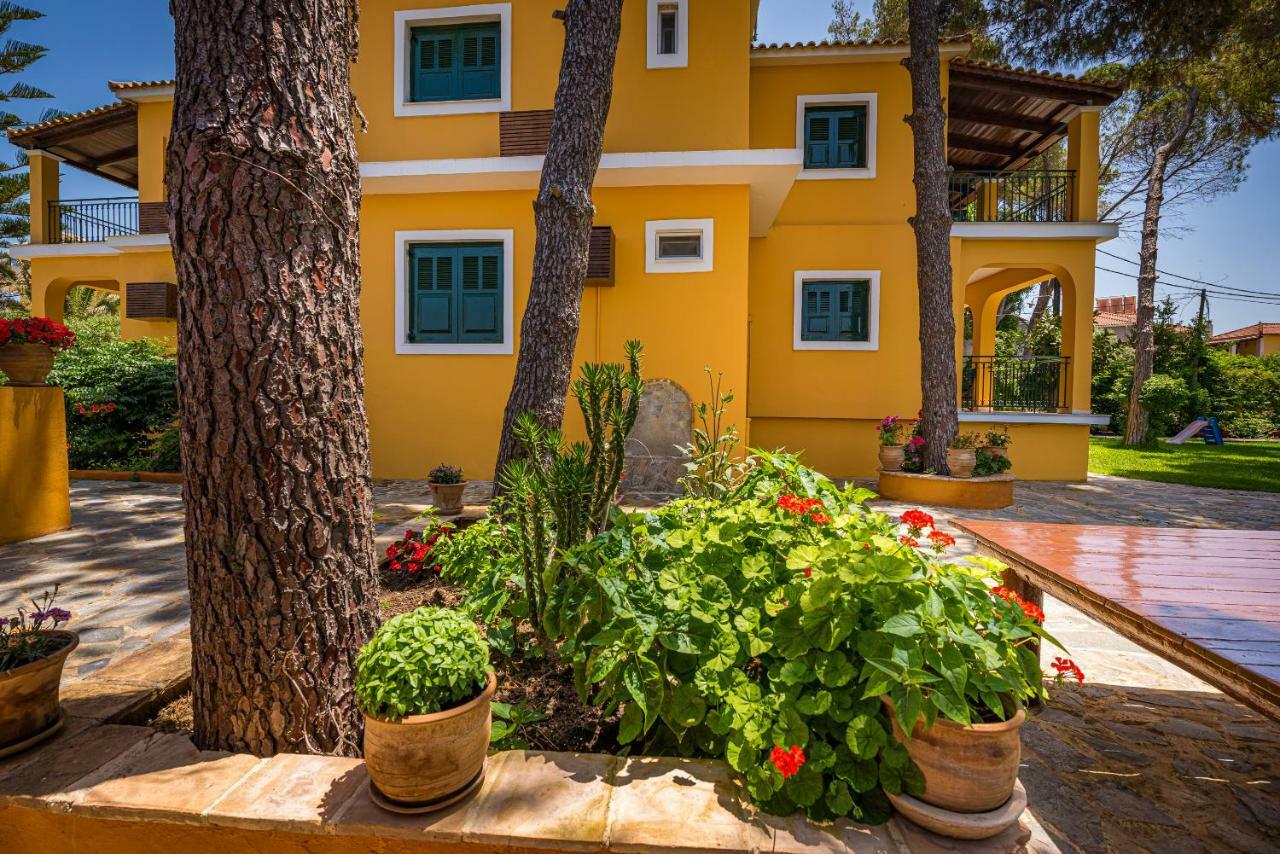 Zarkadis Beach Aparthotel Tsilivi (Zakynthos)
